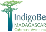IndigoBe