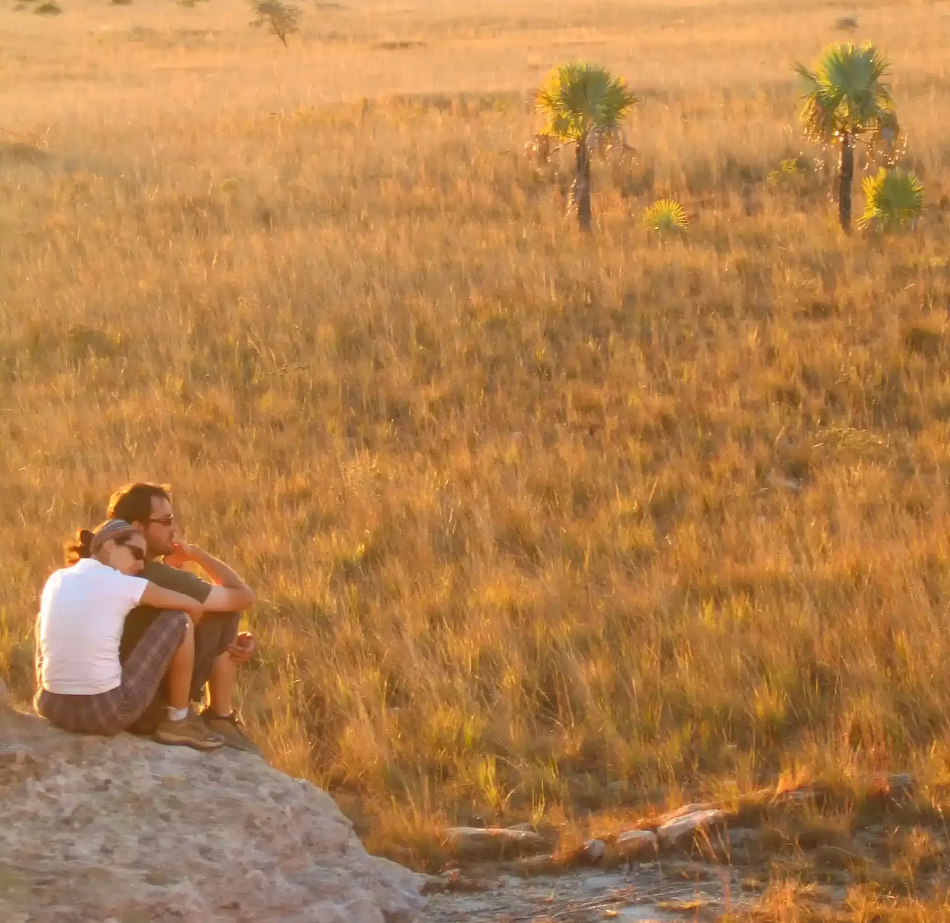 MADAGASCAR & MAURICIO