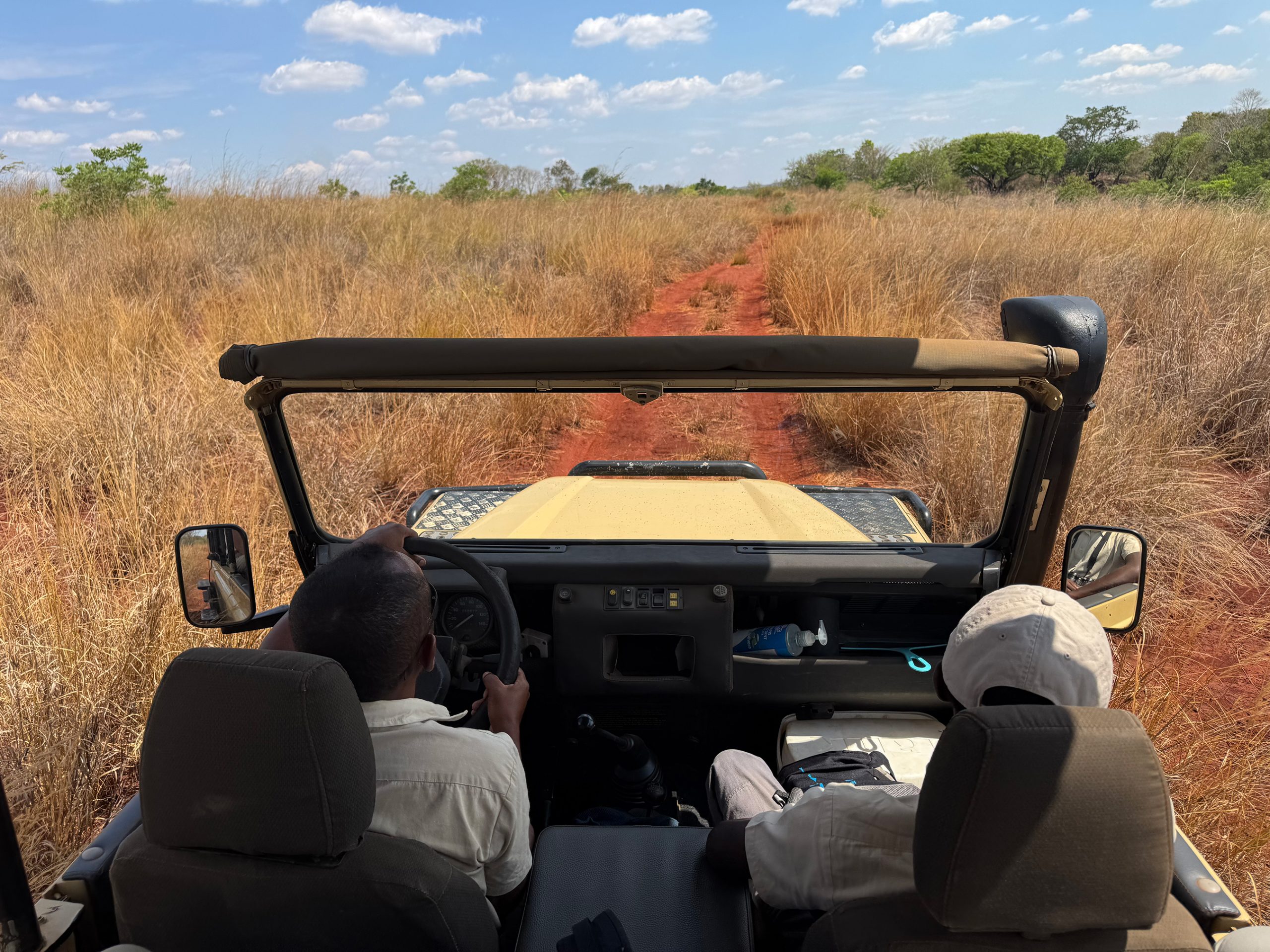 SAFARI EN MADAGASCAR